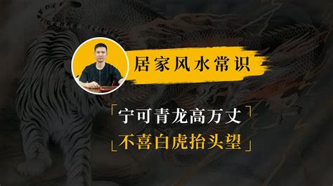 宁可青龙高万丈|老祖宗忠告：“宁可青龙高万丈，不让白虎抬头望”，是什么意思？